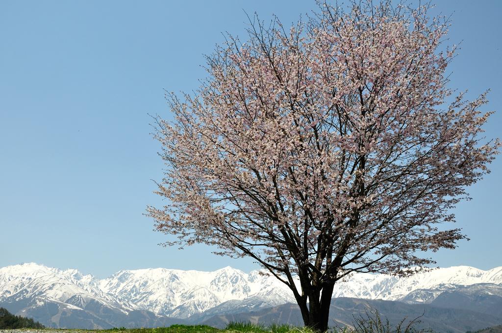 Lodge Nostalgia Hakuba Exterior photo